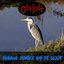 Blauwe Roiger Bai De Sloôt - Single