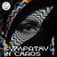 Sympathy in Chaos 4