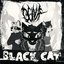 Black Cat