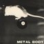 Metal Body