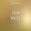 Thin Walls (Bonus Tracks)