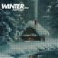 Winter Particles 2010