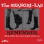 Remember (Hits and rarities from the bad girls of 60s pop)