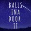 Balls Ina Door II
