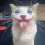 Avatar de Rickidelibe