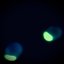 Transient - Single