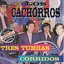 Tres Tumbas Corridos