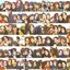 teenage dirtbag [Explicit]