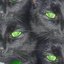 beatsforcatz024