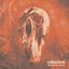 Feed Off the Weak - Single