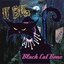 Black Cat Bone