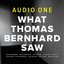 What Thomas Bernhard Saw