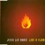 Like A Flame