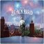 Blackbird
