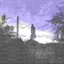 scraps from bark avenue - Single