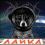 Л​а​й​к​а