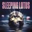 Sleeping Lotus