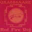 Red Fire Dog