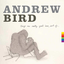 Andrew Bird - Things Are Really Great Here, Sort Of... album artwork