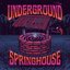 Underground Springhouse