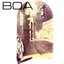 Boa 1981., Ritam Strasti 1982.