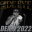 DEMO 2022