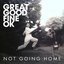 Not Going Home - Single