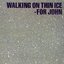 Yoko Ono - Walking on Thin Ice album artwork