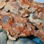 Rot Crumble Collapse