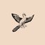Paravian Sequences