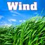 Wind - Sounds of Nature