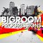 Bigroom Progressions, Vol. 4