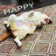 HAPPY