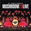 Mushroom 25 (Live)