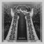 Meridians - Single