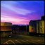 Secluded - Single