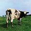 Atom Heart Mother [2011 - Remaster] (2011 Remastered Version)