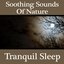 Soothing Sounds Of Nature - Tranquil Sleep