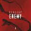 Perfect Enemy