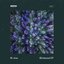 Blinkered EP