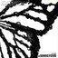 Adaptive Radiation