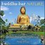 Buddha-Bar Nature