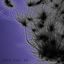 Avatar de horst_horstmann