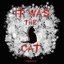It Was the Cat