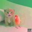 Still the Same - Single
