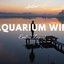 Aquarium WiFi - Single