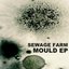 Mould