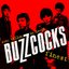 Ever Fallen In Love? - Buzzcocks Finest