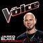 Use Somebody (The Voice Performance) - Single