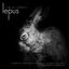 Lepus